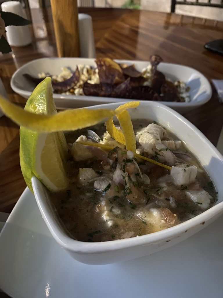 Trying fish ceviche in Quito on Ecuador Mainland