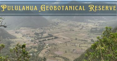 Pululahua Geobotanical Reserve featured featured image