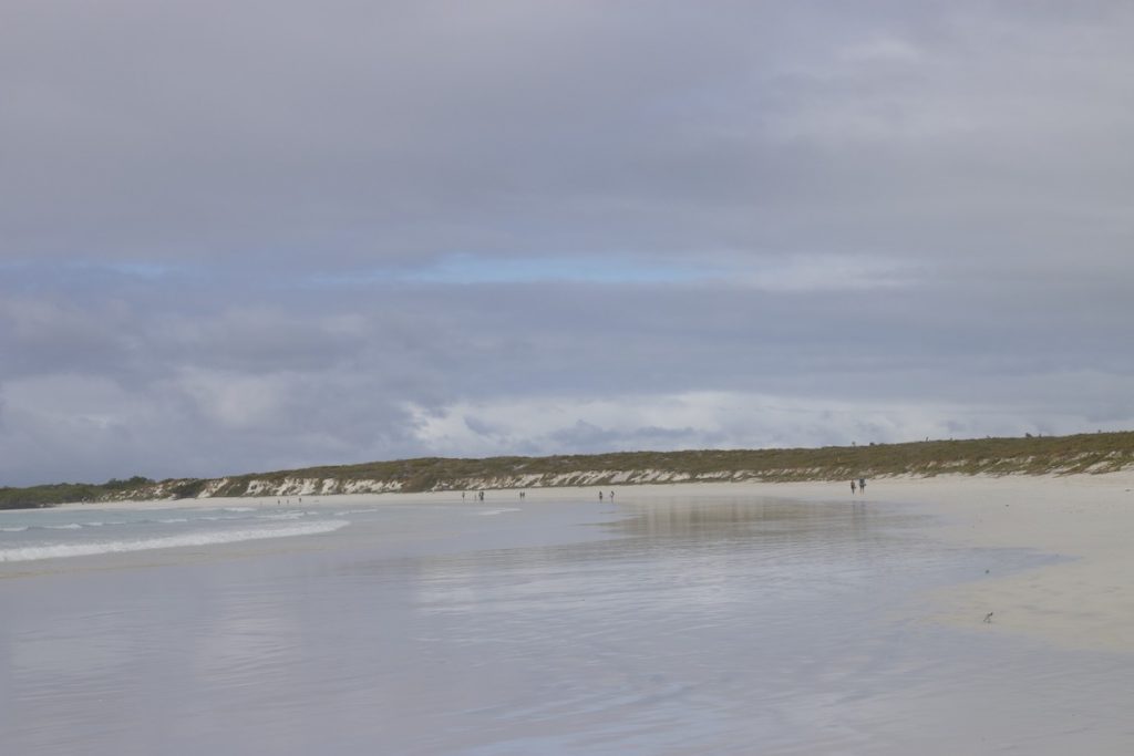 Walking on the beach of Tortuga Bay (Puerto Ayora, Santa Cruz Island, Galapagos)
