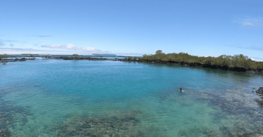 Snorkelling at Concha Perla, Galapagos