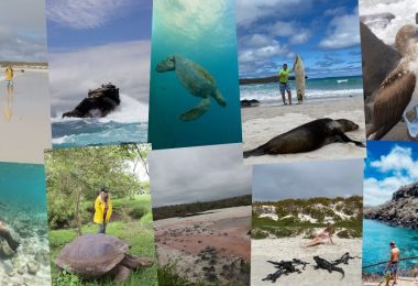 Trip to Galapagos Islands featured image
