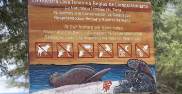 Galapagos Islands rules creative display