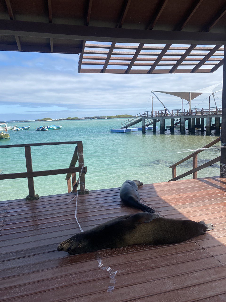 Doc station at Galapagos islands