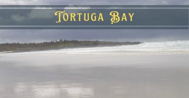 Tortuga Bay Galapagos featured image