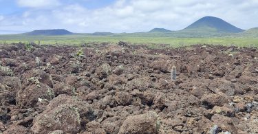 Floreana Island highlands hiking Galapagos