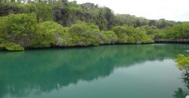View on Laguna de las Ninfas Galapagos