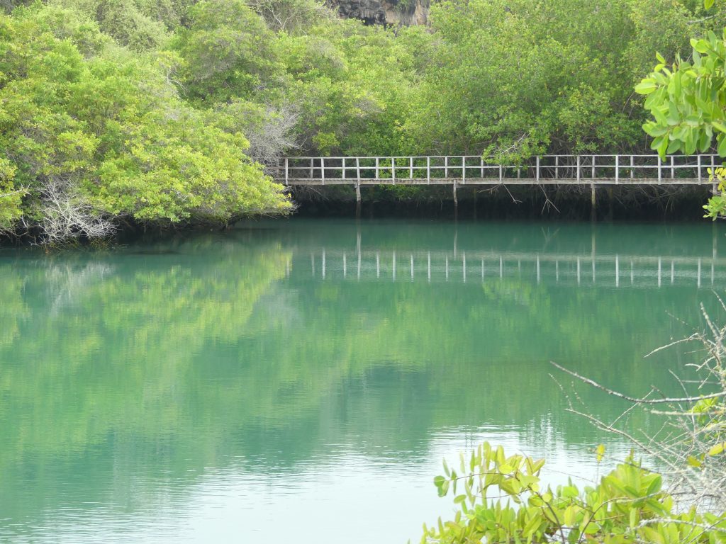 Walking around Laguna de las Ninfas Galapagos