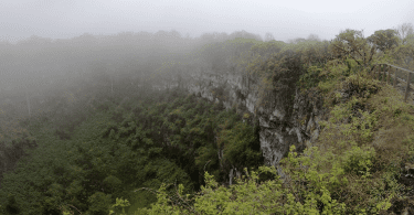 View to one of the Los Gomelos crates (video screenshot) (Puerto Ayora, Santa Cruz Island, Galapagos)