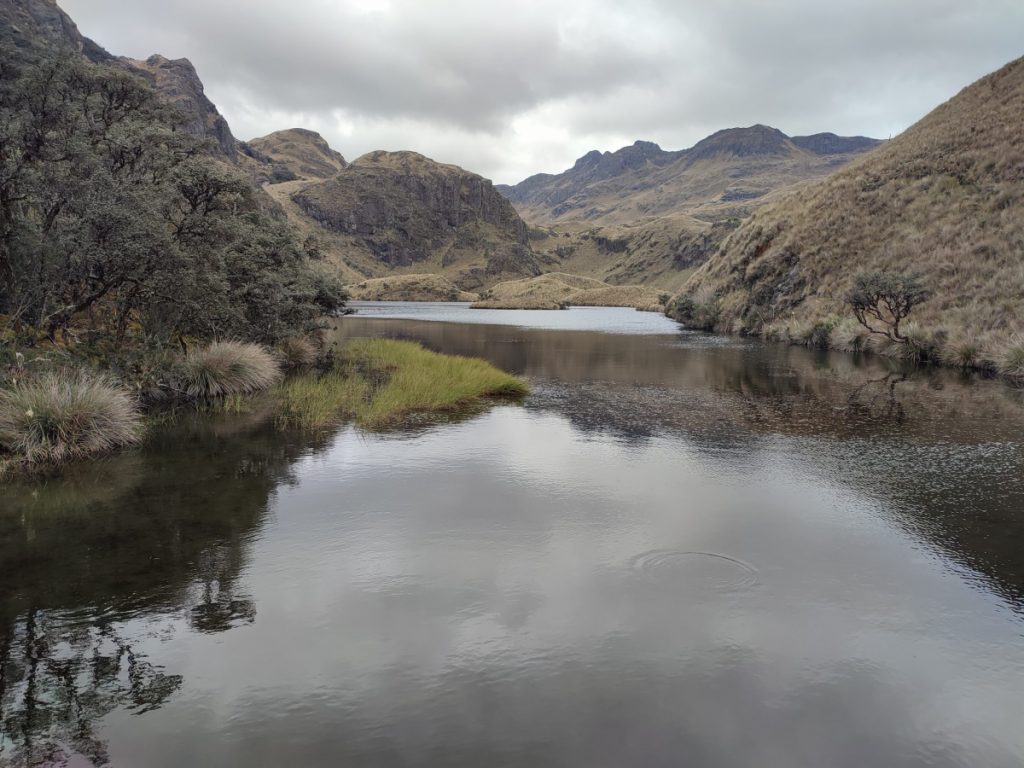 Somewhere at the Sangay National Park in Ecuador