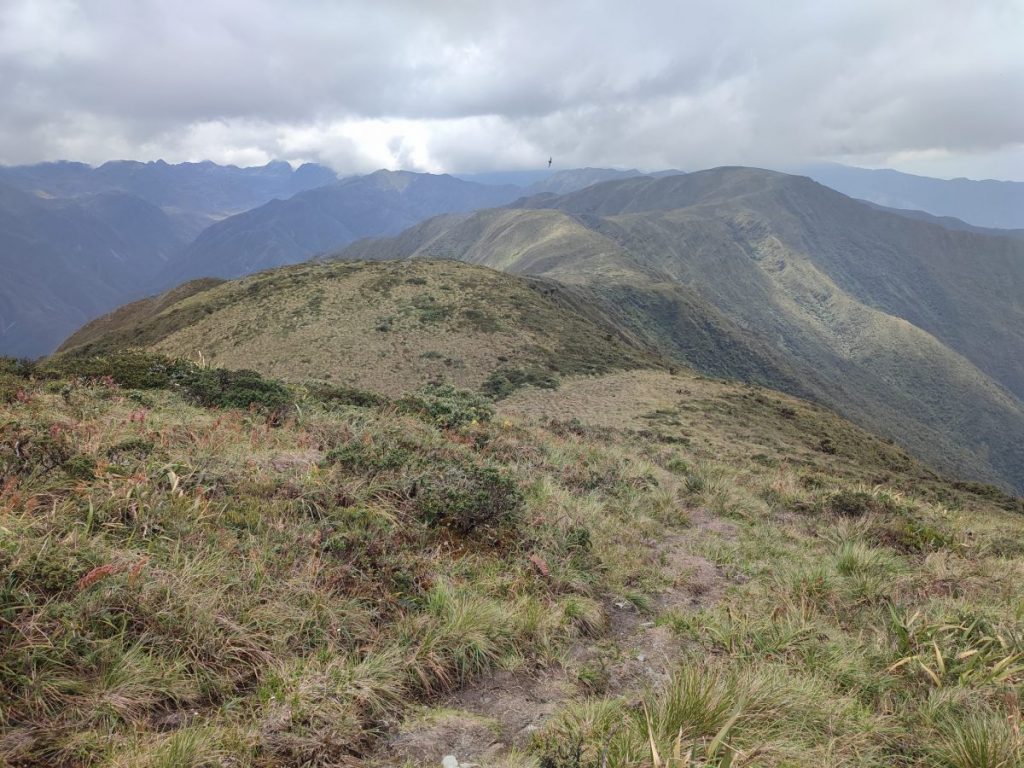 A view of the Podocarpus National Park from the top