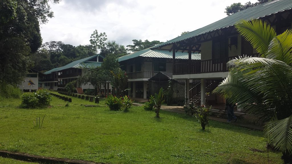 Accomodation we stayed at Yasuni National Park