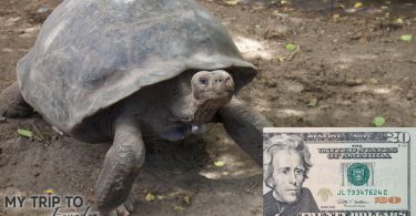 Currency used on Galapagos Islands